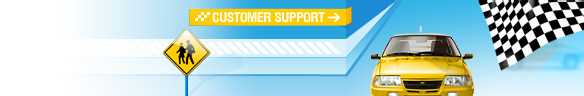 Online Customer Support
