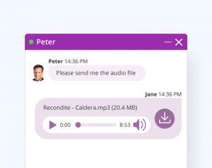Media files preview on live chat