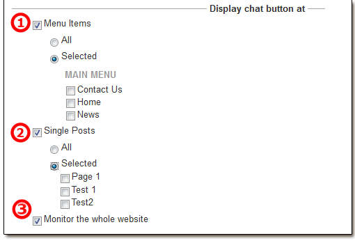 Chat button or Link Display Options