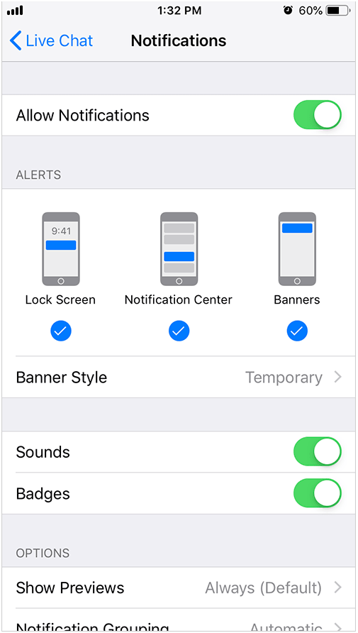 iPhone Console Alerts Settings
