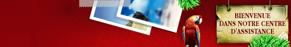 
				Online live chat window header #1 for travel - Français