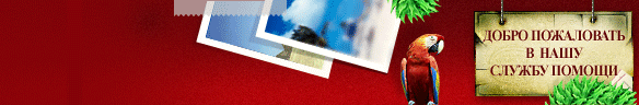 
				Online live chat window header #1 for travel - Русский